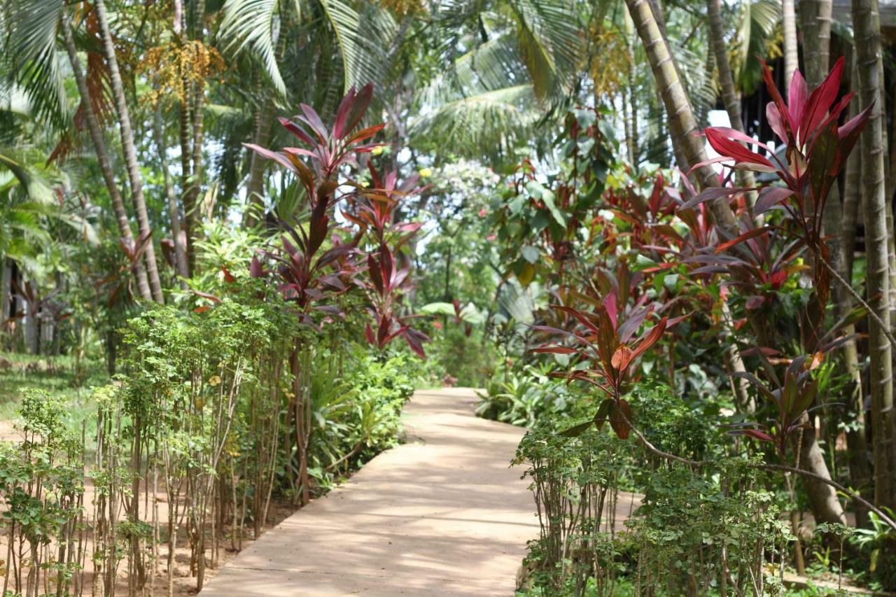 Mame Trees Hotel West End Bagian luar foto