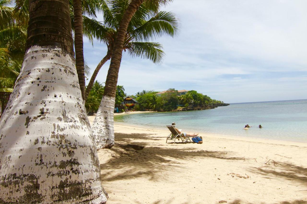Mame Trees Hotel West End Bagian luar foto